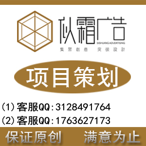 项目策划